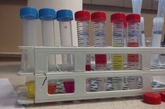 Podstawy chemii ilustrowane eksperymentem