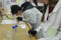 Rozdzielanie barwników